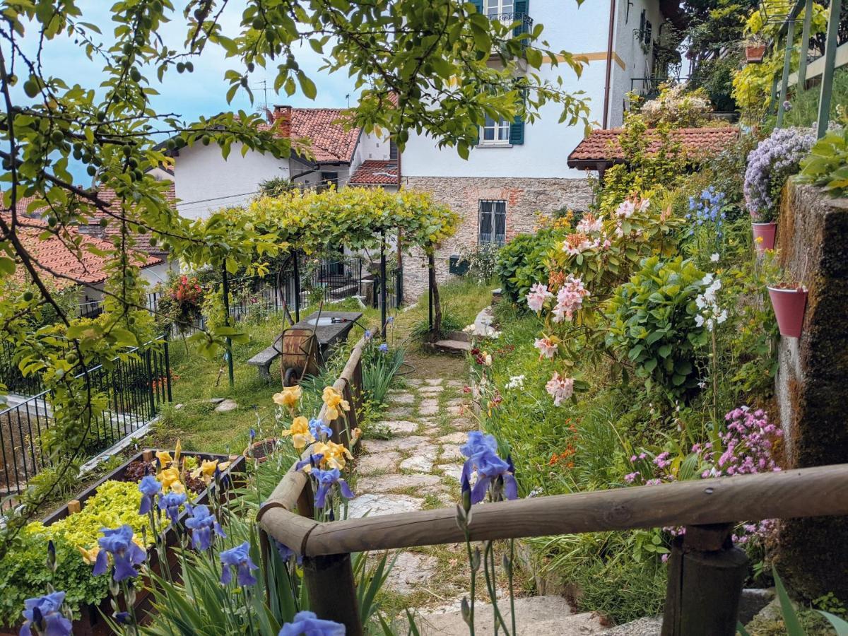 Bed & Breakfast Ratto Del Gallo *
